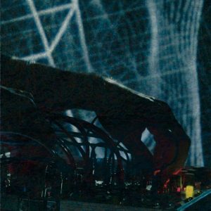 Einar Fehrholz Abb. Digitale Performance 01