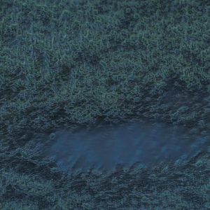 Einar Fehrholz Abb. Digitale Performance 02