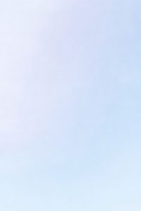 Maks Dannecker, Fotografie