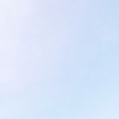 Maks Dannecker, Fotografie